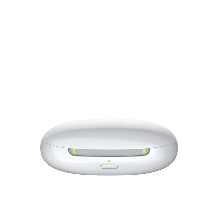 21025470 - Signia Silk IX Charge&Go Charger